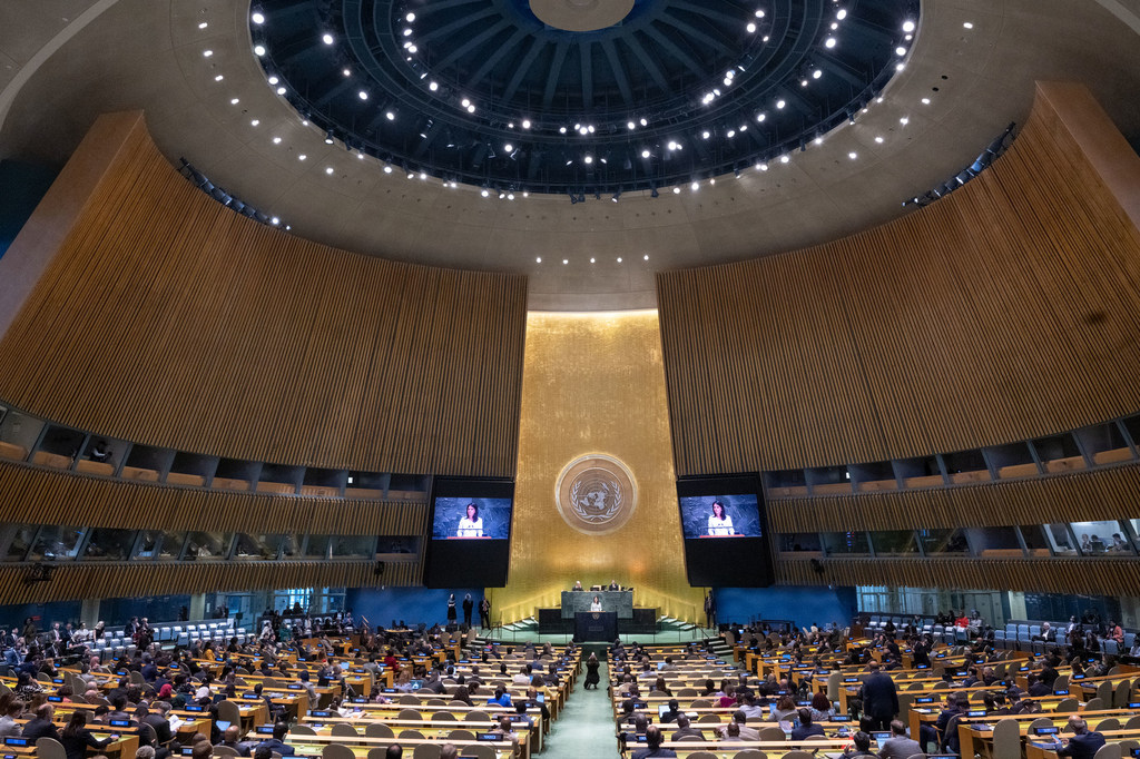 UNGA80 UN News